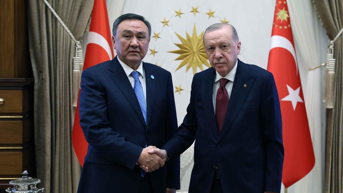 Cumhurbaşkanı Erdoğan, TDT Genel Sekreteri Ömüraliyev'i kabul etti