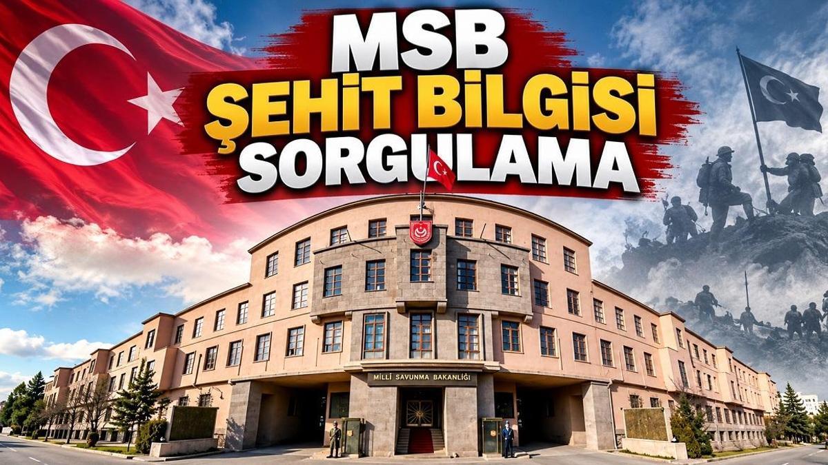 MİLLİ SAVUNMA BAKANLIĞI ŞEHİT BİLGİ KAPISI | Dedem Nerede Şehit Oldu, Ailemde Şehit Var Mı? MSB Şehit Bilgisi Sorgulama Nasıl Yapılır?