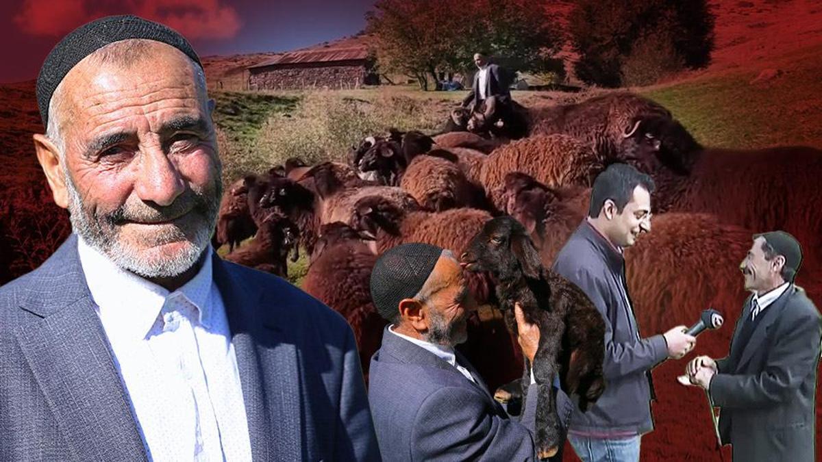 18 yıl sonra yine "koştu geldi" | "Yas yas yas gley" dedi ama koyunlar bu kez onu tanımadı