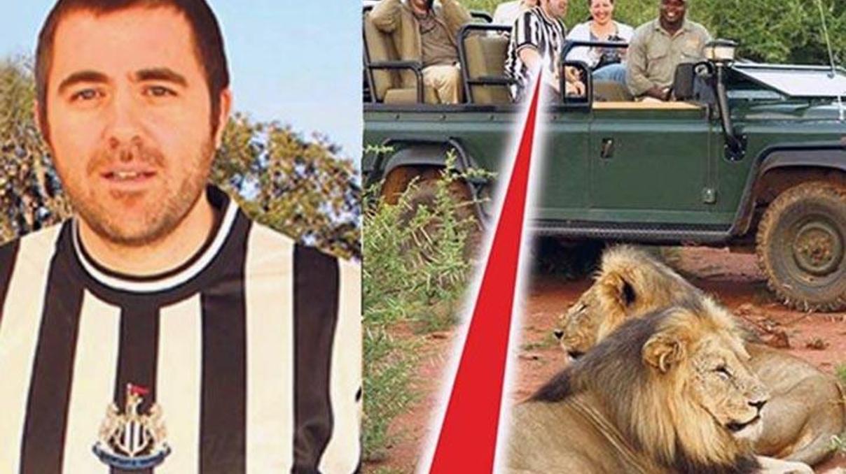 Bu formayla zebra avına gidince öldü Bu formayla zebra avına gidince öldü