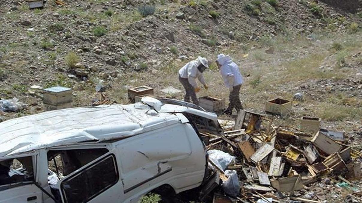 Kazada etrafa saçılan arılar zor anlar yaşattı