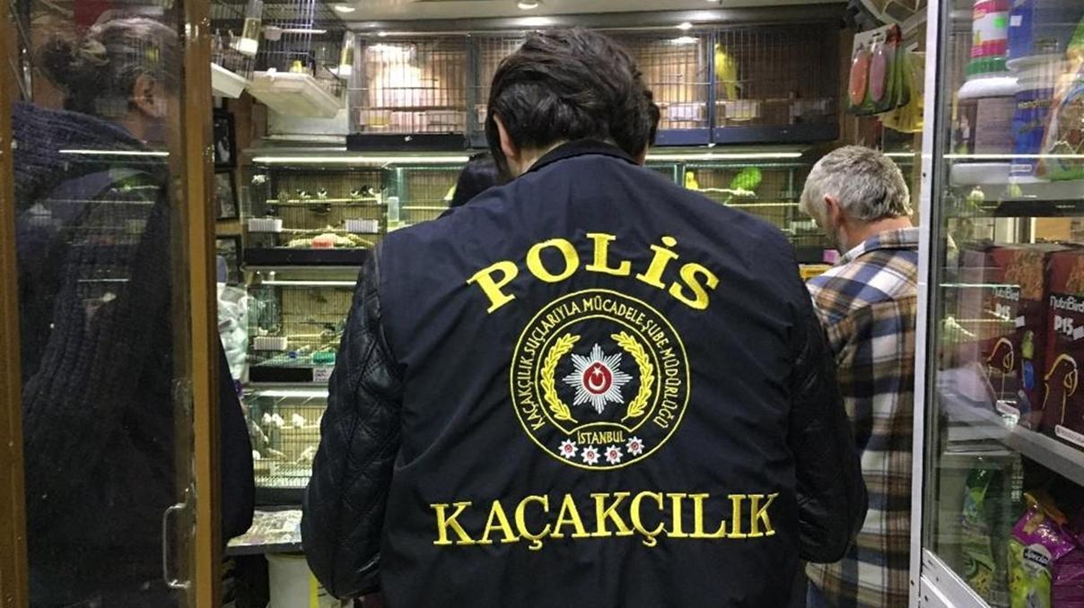 Eminönü’nde petshoplara şok baskın
