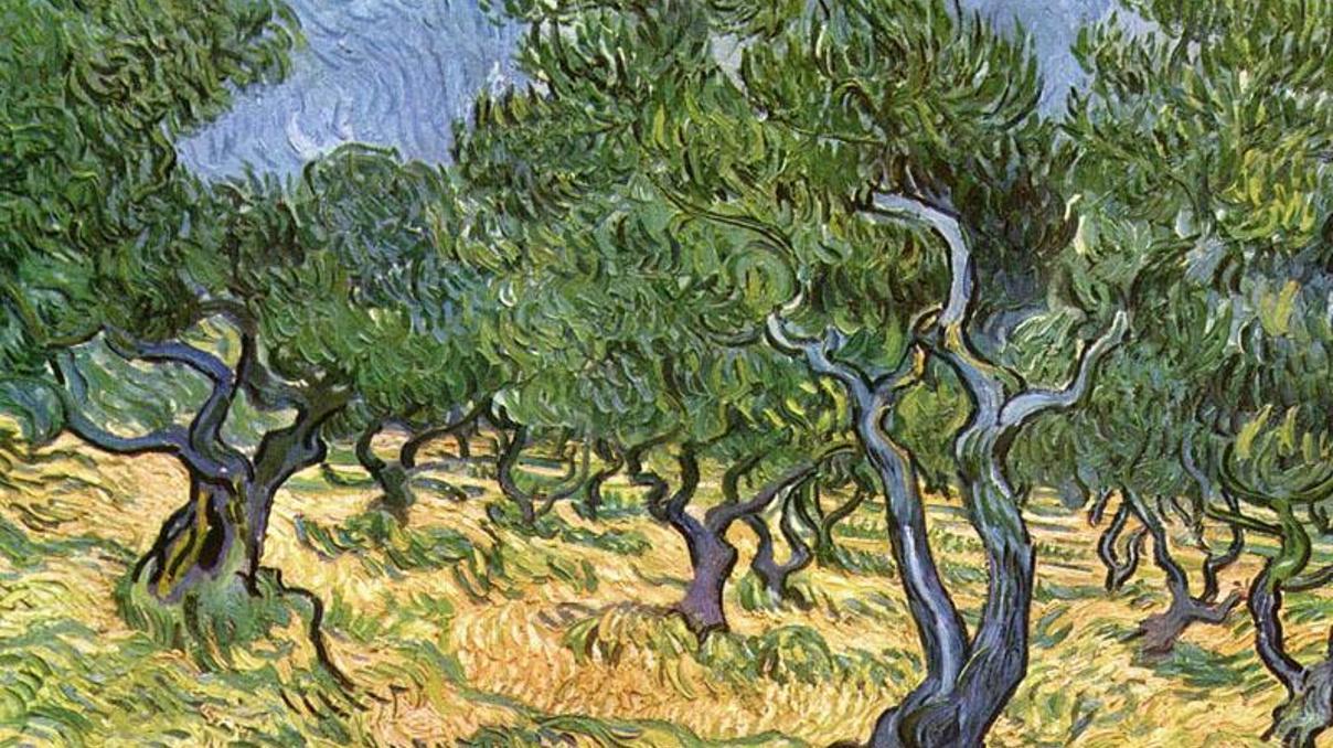Van Gogh’un Zeytin Ağaçları tablosunda çekirge bulundu