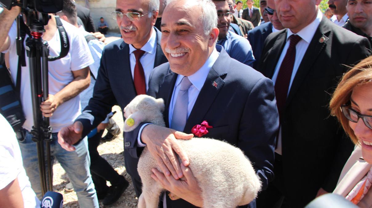 Bakan Fakıbaba: Et ihraç eden bir ülke olacağız Bakan Fakıbaba: Et ihraç eden bir ülke olacağız