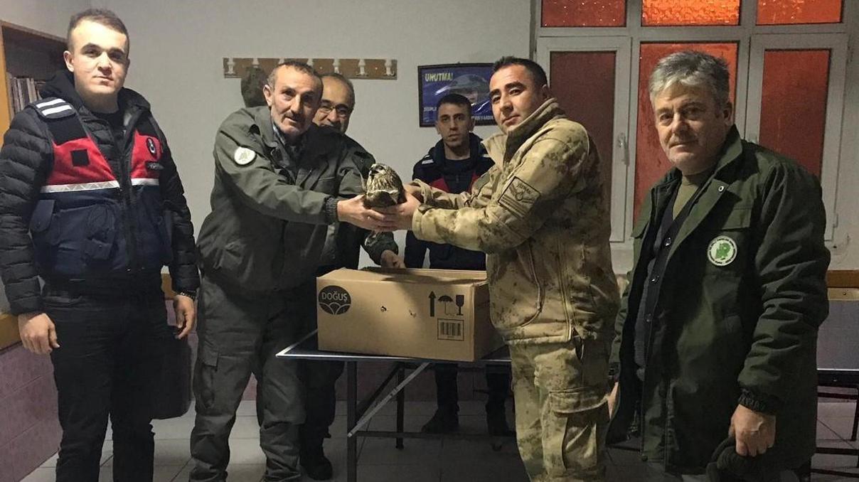 Kaçak avcılar vurdu, jandarma kurtardı