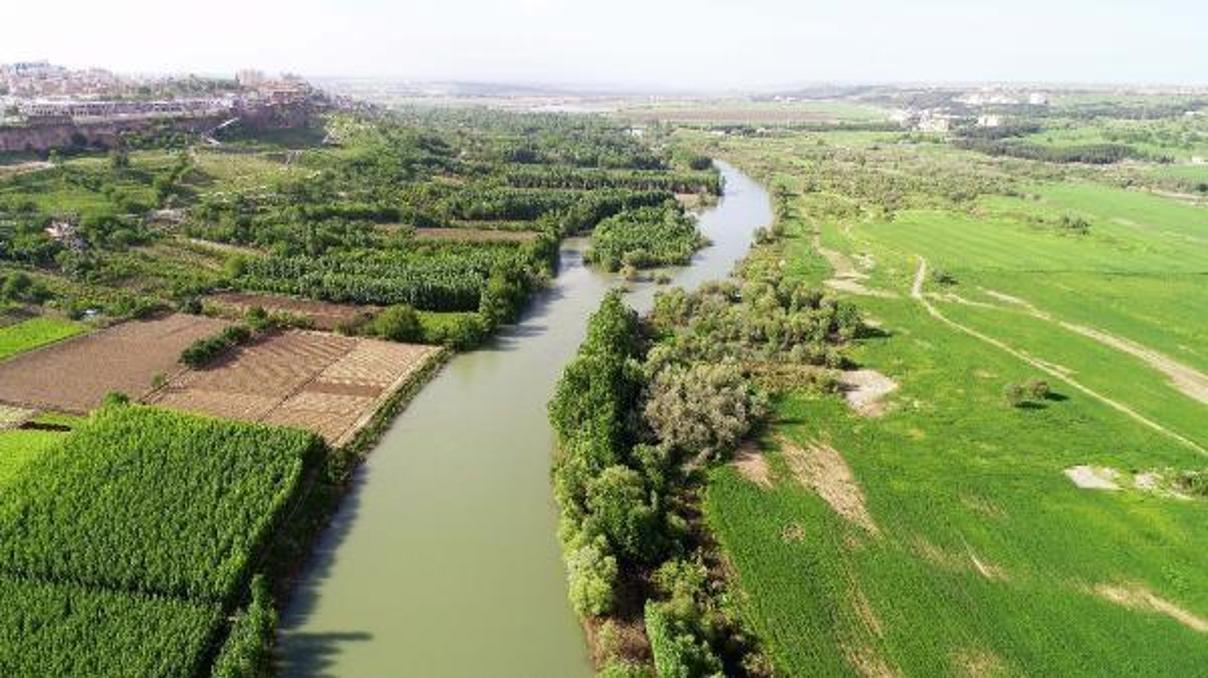 Kullanımı artan temizlik ürünleri, sudaki canlıları tehdit ediyor Kullanımı artan temizlik ürünleri, sudaki canlıları tehdit ediyor