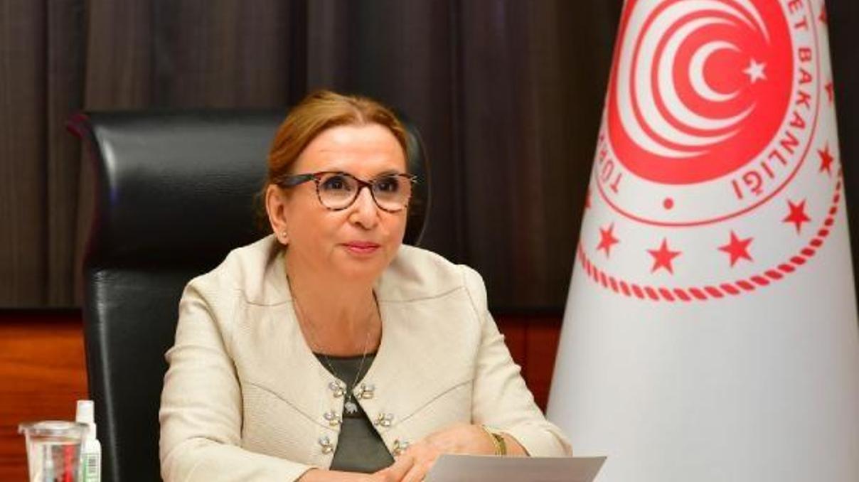 Son dakika.. Bakan Pekcan G20 Ticaret ve Yatırım Bakanları Toplantısına katıldı Son dakika.. Bakan Pekcan G20 Ticaret ve Yatırım Bakanları Toplantısına katıldı