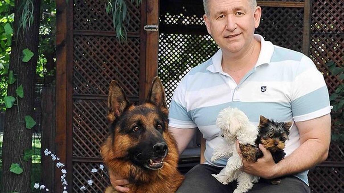 Türkiyede can dostlar arasında popüler ırk: Morkie
