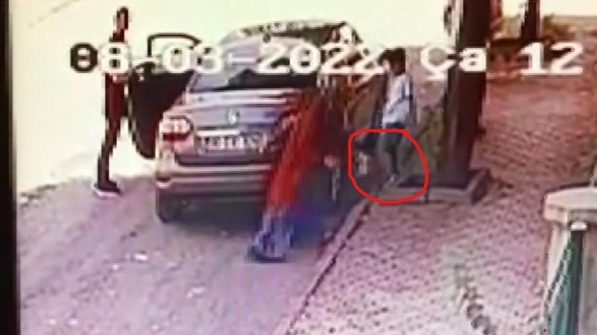 Yavru kediyi sokağa atan kadına 2 bin 724 lira ceza Yavru kediyi sokağa atan kadına 2 bin 724 lira ceza