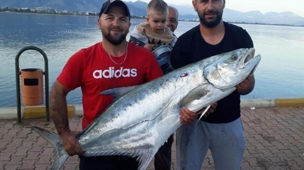 Oltayla 27 kiloluk liça balığı avladı Oltayla 27 kiloluk liça balığı avladı