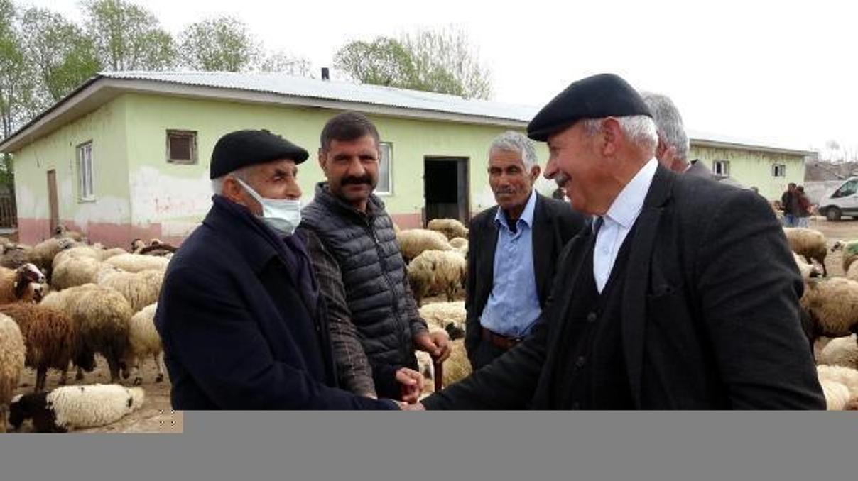 Şap hastalığı nedeniyle kapatılan hayvan pazarı açıldı Şap hastalığı nedeniyle kapatılan hayvan pazarı açıldı