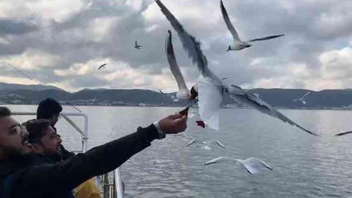 Meteoroloji açıkladı: Sonbaharda İlkbaharı yaşayacağız