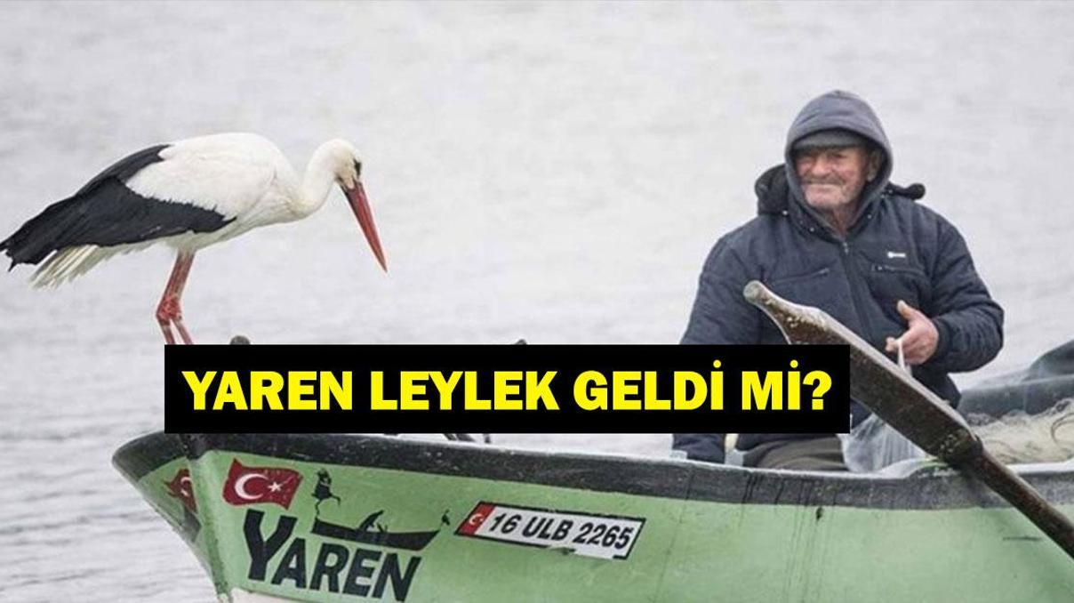 Yaren Leylek Geldi Mi 2025 Adem Amca Yaren Leylek Buluşması Gerçekleşti Mi 14 Yıllık Hikaye Yaren Leylek Geldi Mi 2025 Adem Amca Yaren Leylek Buluşması Gerçekleşti Mi 14 Yıllık Hikaye