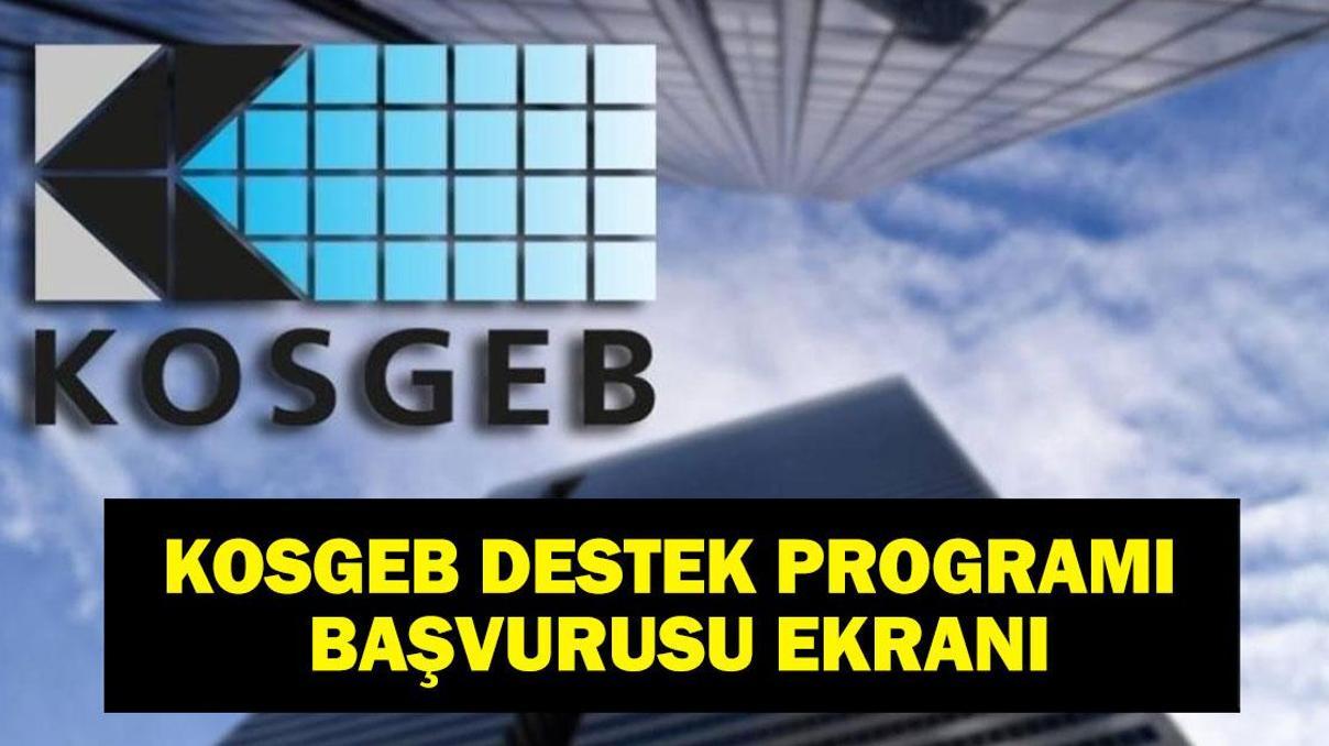 KOSGEB Destek Programı: KOSGEB Kapasite Geliştirme Destek Programı Başvurusu Nasıl Yapılır, Nereden Başvuru Şartları Neler 2. Başvurular Başladı