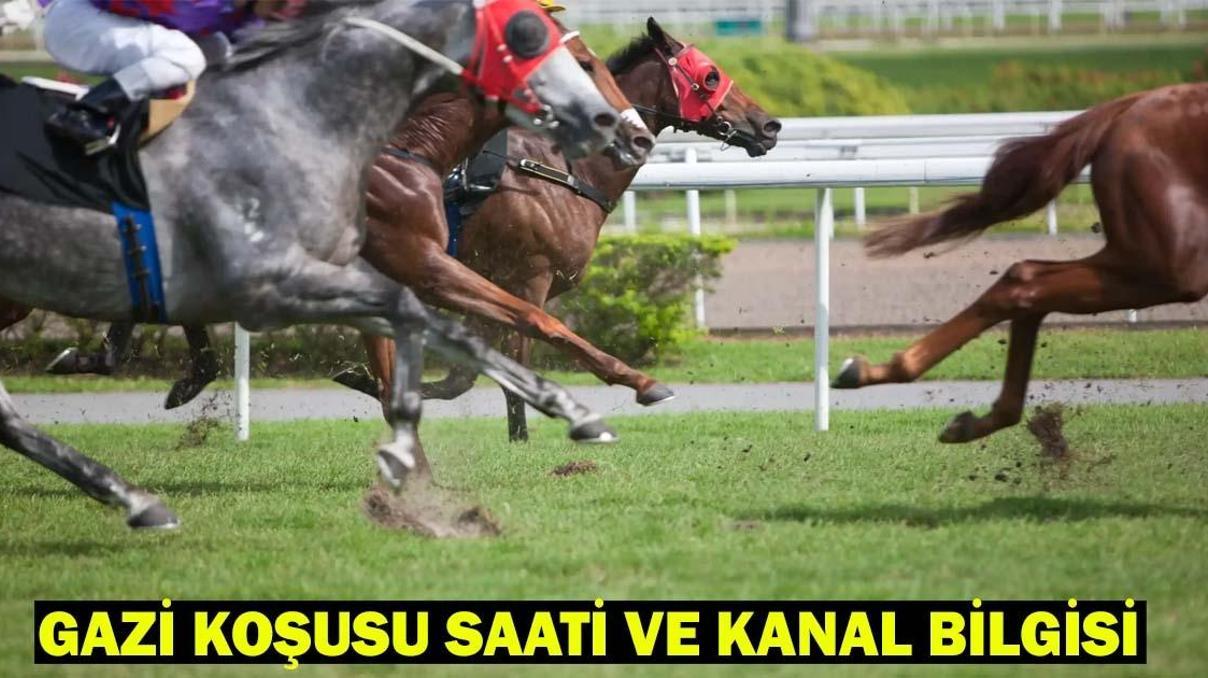 GAZİ KOŞUSU CANLI İZLEME EKRANI: 99. Gazi Koşusu ne zaman, saat kaçta GAZİ KOŞUSU SAATİ VE KANAL BİLGİSİ