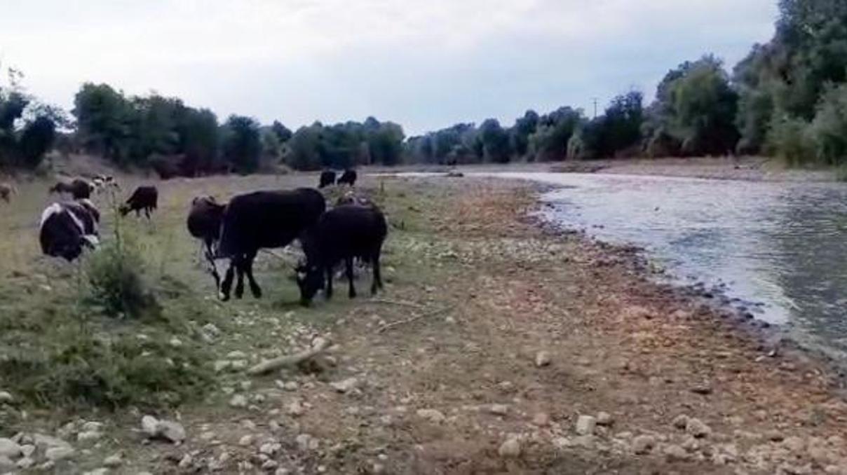 Mudurnu Çayı’nda kirlilik Mudurnu Çayı’nda kirlilik