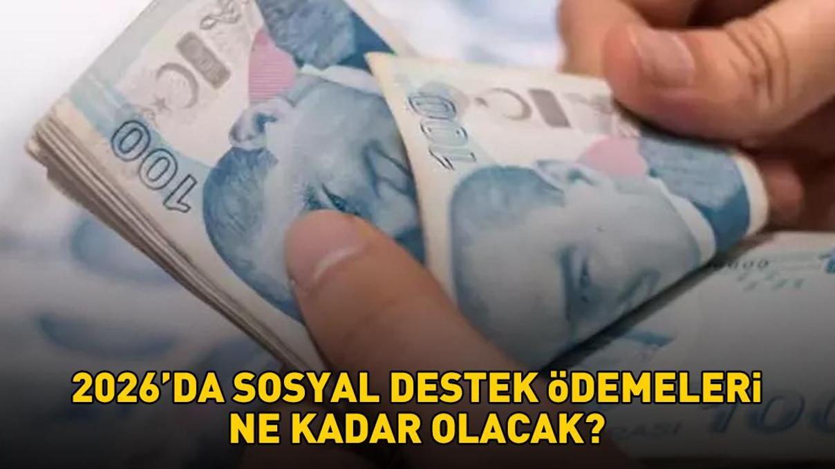 SOSYAL DESTEK ÖDEMELERİ 2026 ZAMMI | SED yardımı, evde bakım aylığı, engelli maaşı... Ocak 2026da sosyal destek ödemeleri ne kadar olacak SOSYAL DESTEK ÖDEMELERİ 2026 ZAMMI | SED yardımı, evde bakım aylığı, engelli maaşı... Ocak 2026da sosyal destek ödemeleri ne kadar olacak