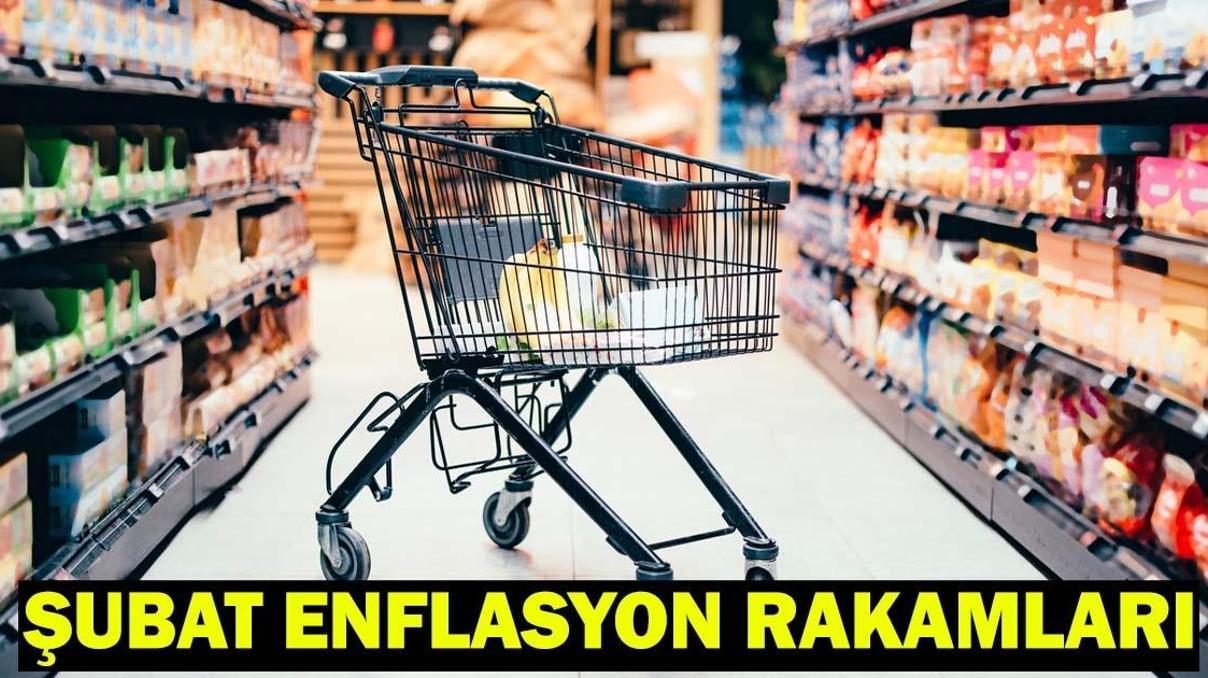 ŞUBAT ENFLASYON RAKAMLARI SON DAKİKA TÜİK Enflasyon Verileri Açıklandı Şubat Ayı Enflasyonu Yüzde Kaç Oldu