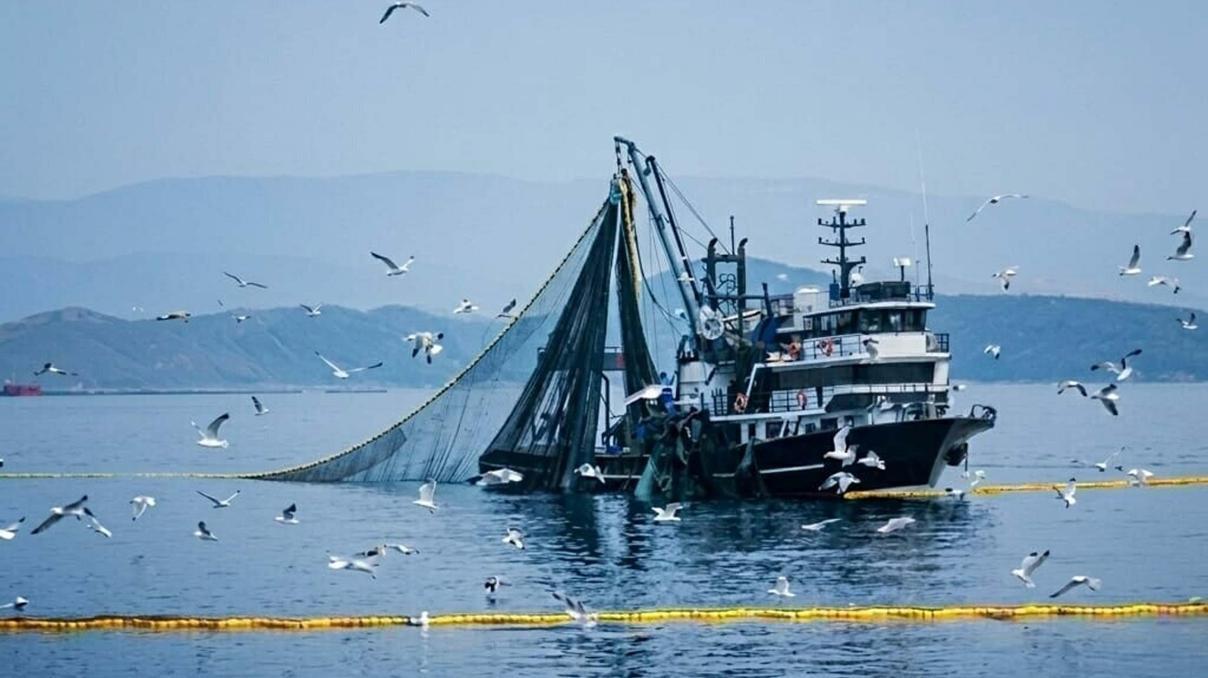 Denizlerde av yasağı 15 Nisanda başlıyor Denizlerde av yasağı 15 Nisanda başlıyor