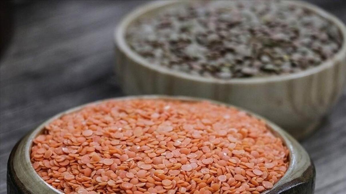 TMO hububat alımlarına başlıyor Buğday ve arpa için yeni dönem 3 Haziranda başlıyor