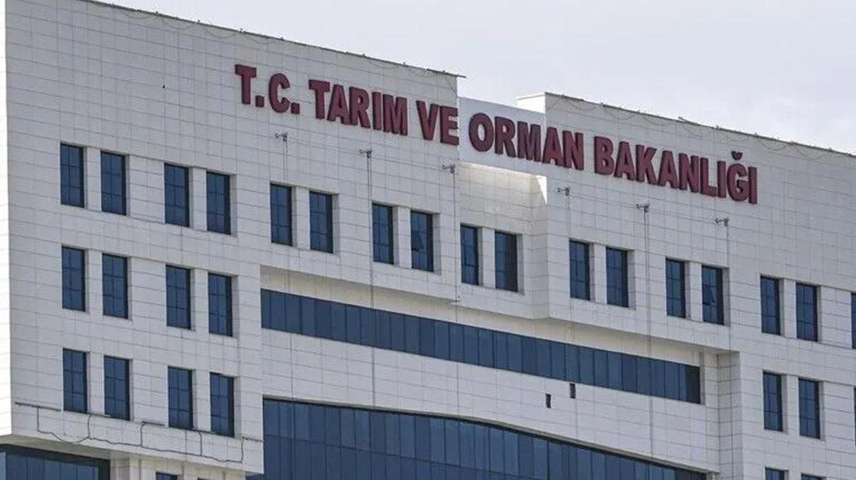 7 ilde orman yangını alarmı Tarım ve Orman Bakanlığı: Müdahale sürüyor