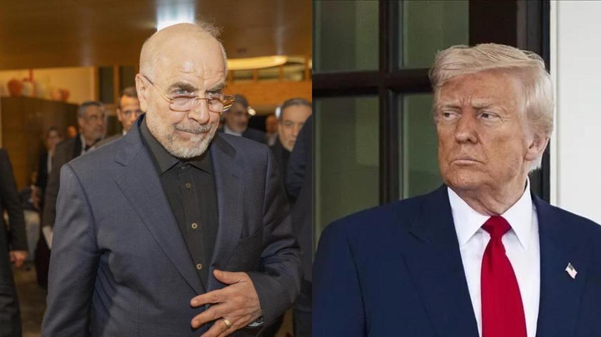 Kalibaftan Trumpa: Palyaço tayfası şapkadan tavşan çıkaramaz