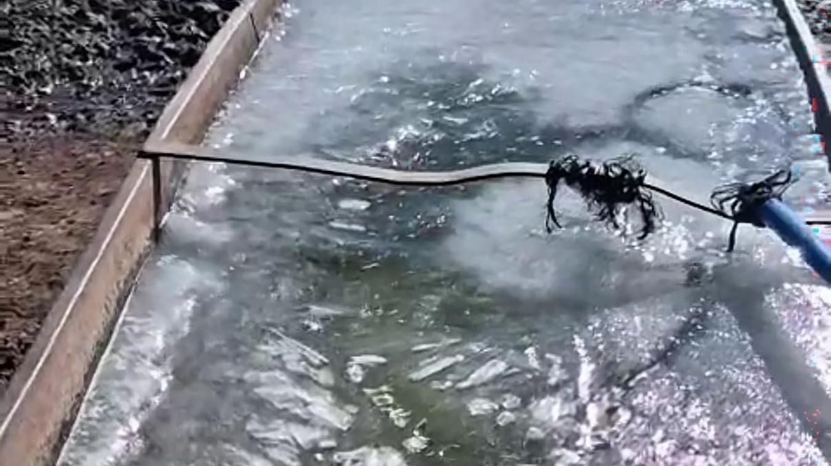 Kars’ta eyül ayında sular buz tuttu Kars’ta eyül ayında sular buz tuttu
