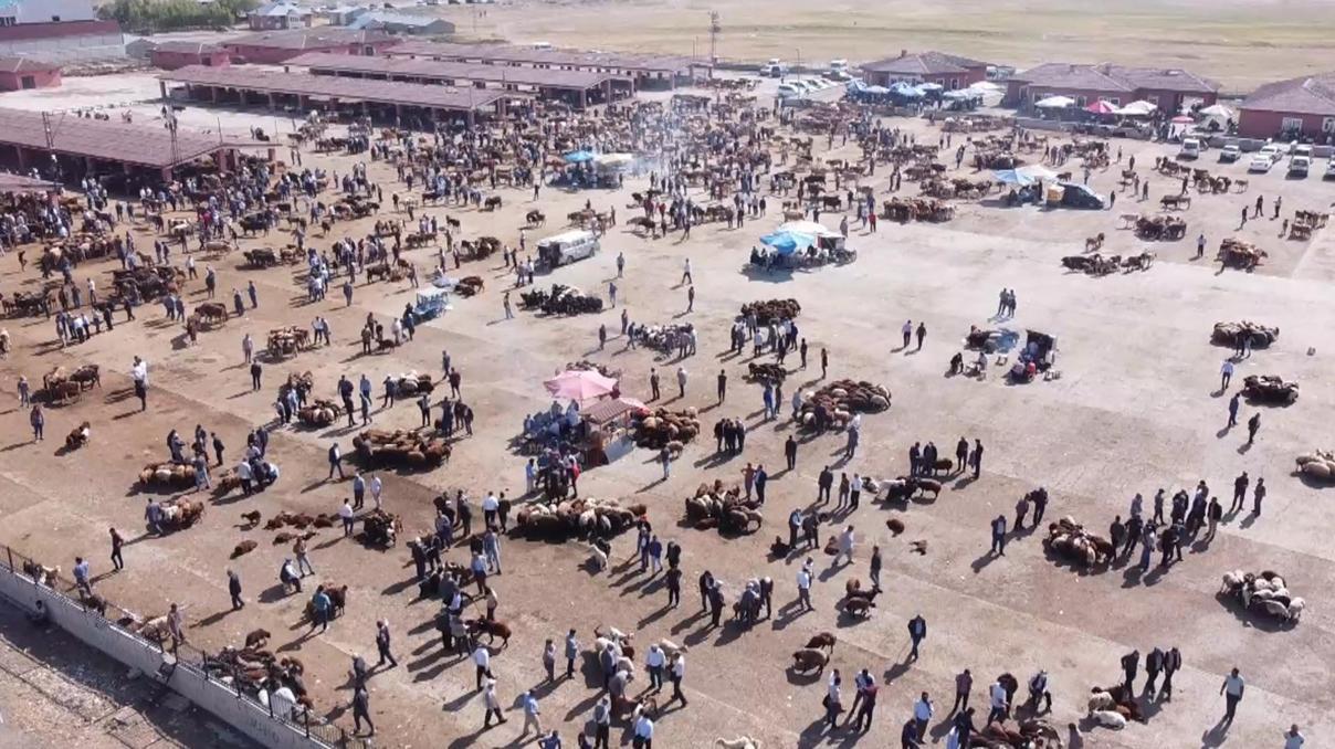 Ağrı Hayvan Borsası 30 gün süreyle kapatıldı