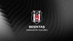 Beşiktaşın yeni divan kurulu başkanı belli oldu