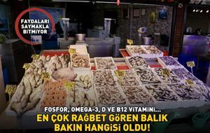 En çok rağbet gören balık bakın hangisi oldu! Faydaları saymakla bitmiyor! Fosfor, Omega-3, D ve B12 vitamini...