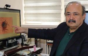 7 ilde kene alarmı! Kendisi kadar yanlış uygulamalar da öldürüyor... Sakın bu hataları yapmayın