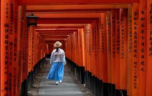 Japonya'nın dilek ve şükran simgesi: Fushimi Inari Tapınağı