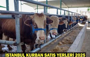 İSTANBUL KURBAN SATIŞ YERLERİ 2025: Kurbanlıklar İstanbul'a geldi mi? Kurban pazarları kuruldu mu?