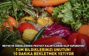 Tüm bildiklerinizi unutun! Meyve ve sebzelerdeki pestisit kalıntılarını silip süpürüyor! '10 DAKİKA BEKLETMEK YETİYOR!'