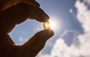 Doğadaki En Güçlü D Vitamini Kaynağı! Hem Fiziksel Hem Ruhsal Yenilenme İçin D Vitamini Şart! D Vitamini Nelerde Var?