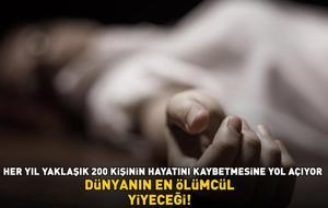 Dünyanın en ölümcül yiyeceği! Her yıl yaklaşık 200 kişinin hayatını kaybetmesine yol açıyor