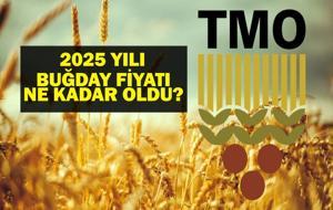 TMO BUĞDAY FİYATLARI 2025: Hububat ve Buğday Alım Fiyatları Ne Kadar Oldu? Bu Yıl Arpa ve Buğday Ton Fiyatı Ne Kadar Oldu?
