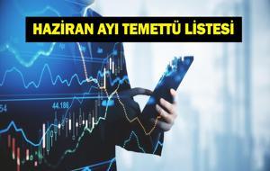 HAZİRAN AYI TEMETTÜ HİSSELERİ: 2025 Haziran Ayı Temettü Veren Hisseler Neler? Bu Hisseler Ne Kadar Temettü Dağıtacak? Türk Hava Yolları, BİM, Turkcell, BIMAS, ENKAI...