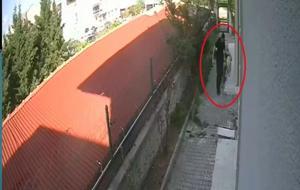 Cani doktorun kan donduran vahşeti: Hayvanlara cinsel istismar ve katliam | İğrenç detaylar ortaya çıktı