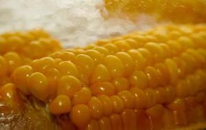 Lif, Mineral Ve Vitamin Deposu Çıktı! Vücuda Tepeden Tırnağa Etkisi Var... Mısırın Bilinmeyen 6 Faydası