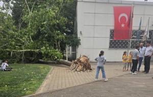 Gaziantep'i Haziran ayından fırtına vurdu: Ağaçlar devrildi, toz bulutu etrafı kapladı