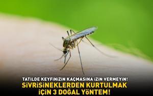 Yaz aylarının korkulu rüyası sivrisineklerden kurtulmak için 3 doğal yöntem! Vücut ve ev için özel formül! '4 malzeme ile hazırlanıyor'