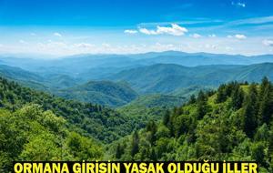 ORMANA GİRİŞİN YASAK OLDUĞU İLLER LİSTESİ 2025: Hangi illerde, hangi tarihlerde ormana girmek yasak?
