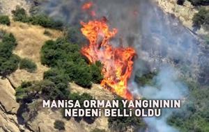 Manisa'daki yangının çıkış nedeni belli oldu! Pes dedirten 'kene' detayı...
