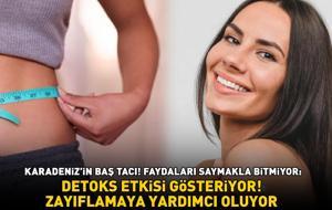 KARADENİZ'İN BAŞ TACI! Faydaları saymakla bitmiyor: Zayıflamaya yardımcı oluyor, detoks etkisi gösteriyor