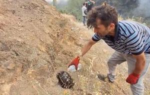 Yangından kurtardığı kaplumbağayı su dökerek kendine getirdi