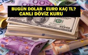 DOLAR KAÇ TL? EURO KAÇ TL? Temmuz Ayı Enflasyon Oranı Sonrası Dolar Euro Kaç TL? Canlı Döviz Kuru ile 4 Ağustos 1 Dolar 1 Euro Fiyatı...
