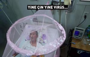 Yine Çin yine virüs... 7 binden fazla vaka tespit edildi! Tehlikenin adı: Chikungunya