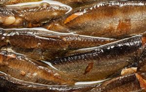 Gençlik Kremleri Çöpe! Yaşlanmayı Durduran Formül Bulundu! Saç Telinden Ayak Tırnağına Etkileri İnanılmaz! D ve B12 Vitaminleri, Demir, Kalsiyum ve Omega-3 Deposu: Sardalya...