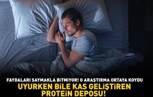 UYURKEN BİLE KAS GELİŞTİREN PROTEİN DEPOSU! Faydaları saymakla bitmiyor: 'Zayıflamaya yardımcı oluyor, kalp sağlığını destekliyor'